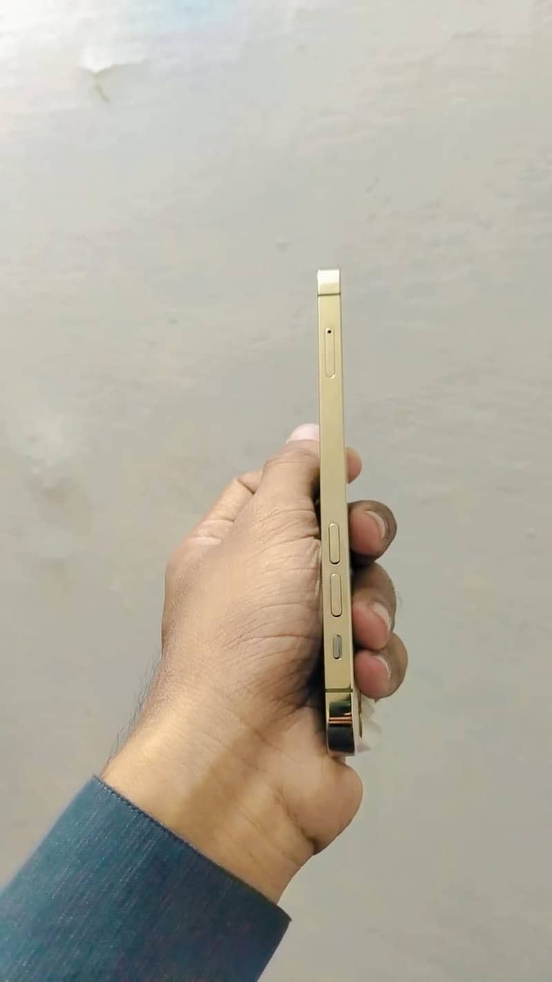 iPhone 12 pro 6