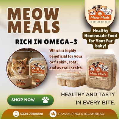 Healthy Homemade Wet Food for Your Cat 