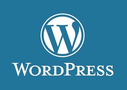 wordpress developer