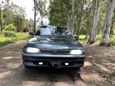 Japanese Corolla LX Limited