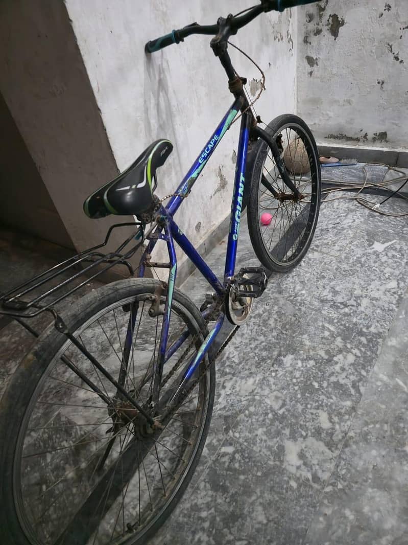 cycle 0
