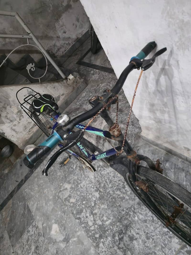 cycle 1