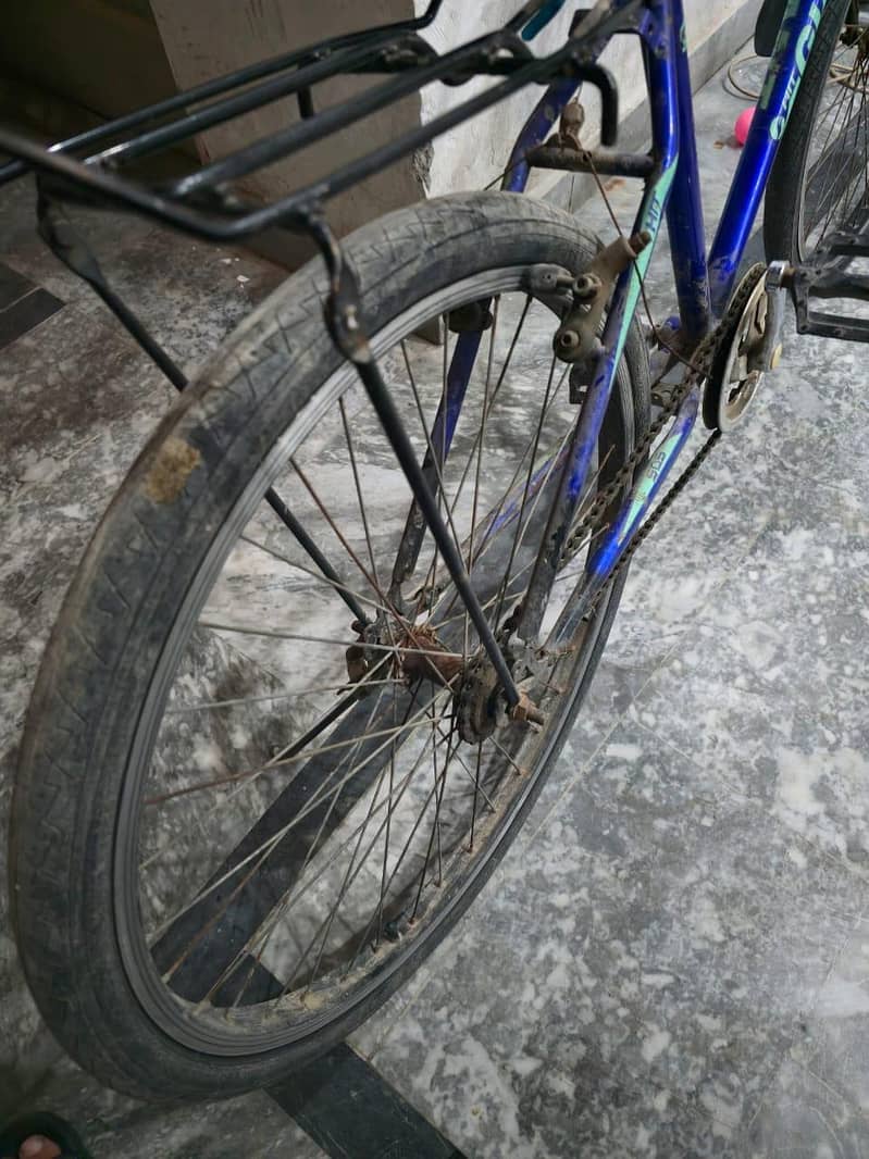 cycle 2