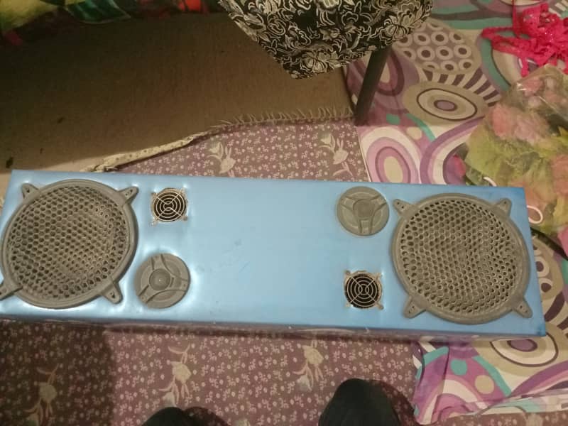 Speaker 5