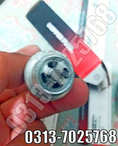 RM77N Champion Spark Plugs
