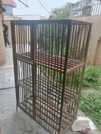 chicken cage