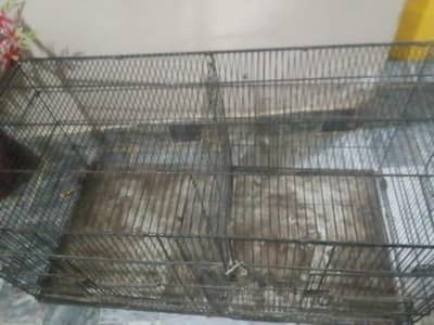 master cage