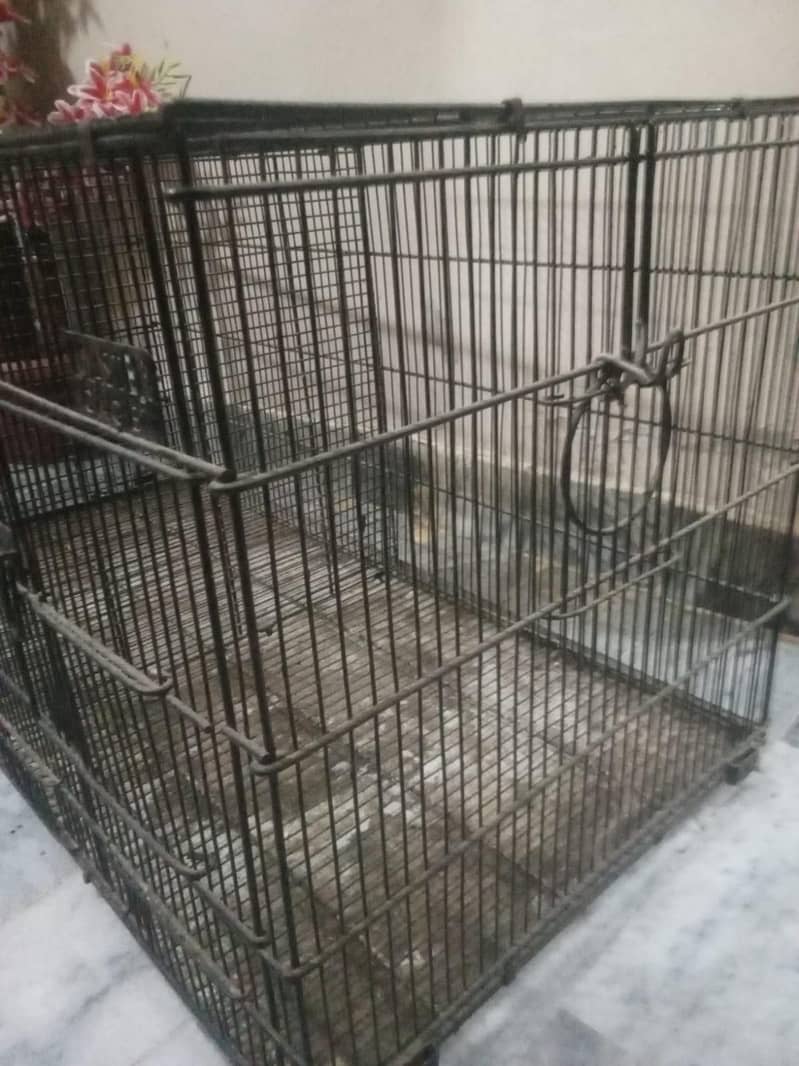 master cage 1