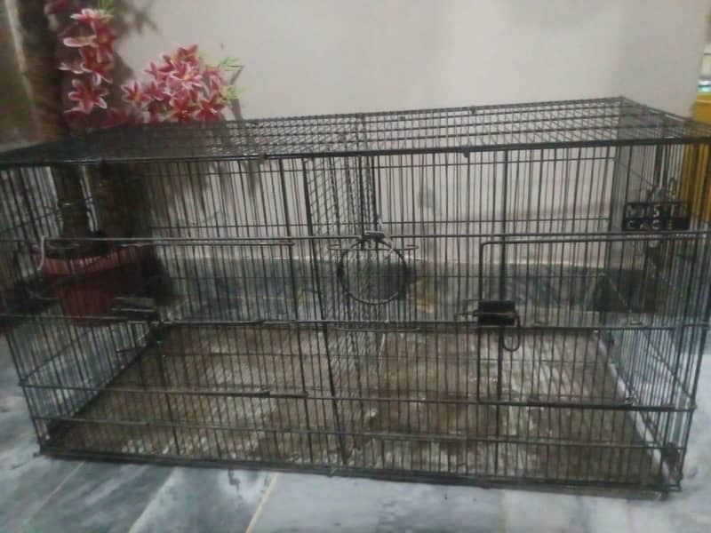 master cage 2
