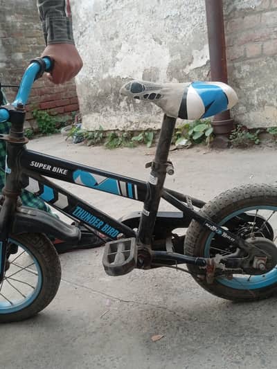 I want to sell my 3 cycle in handsome price.