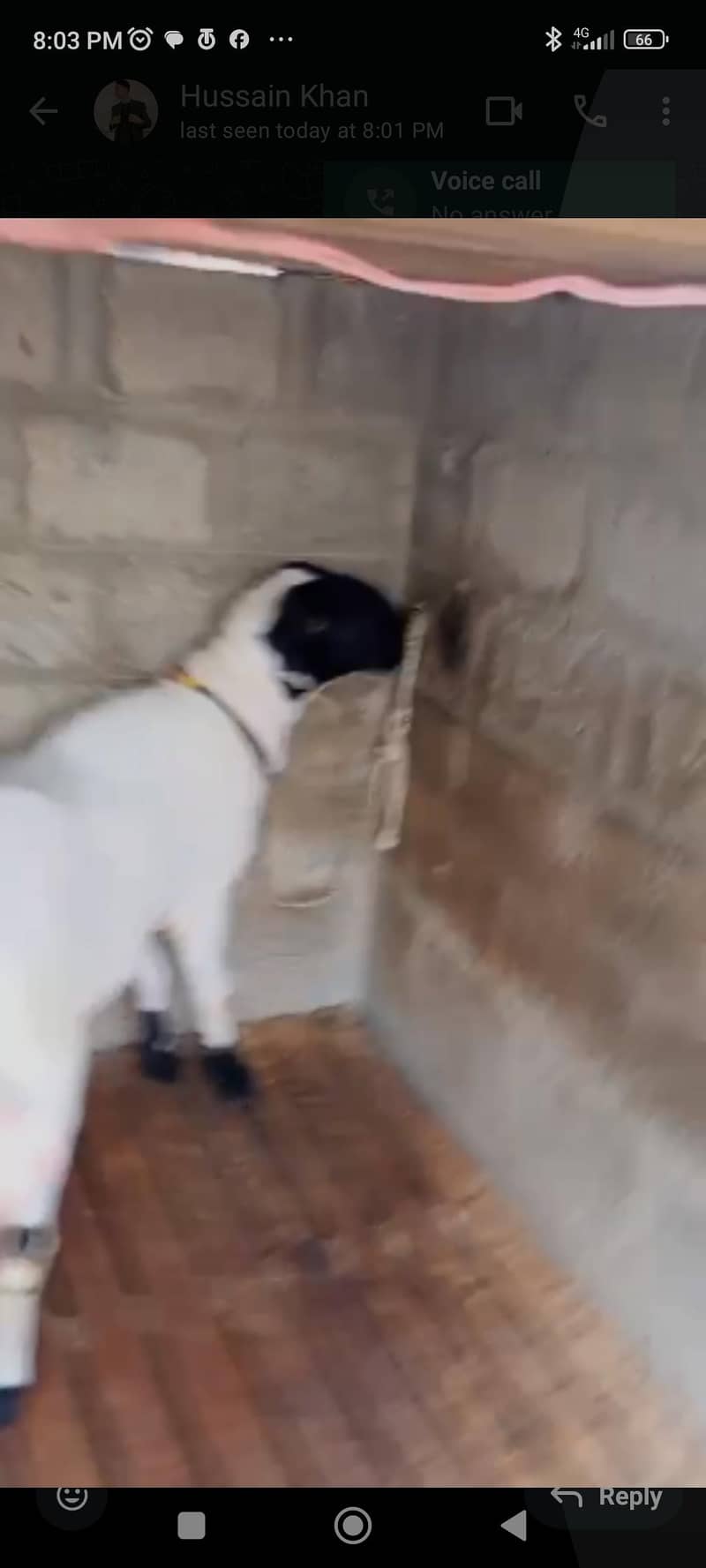 doumba 2
