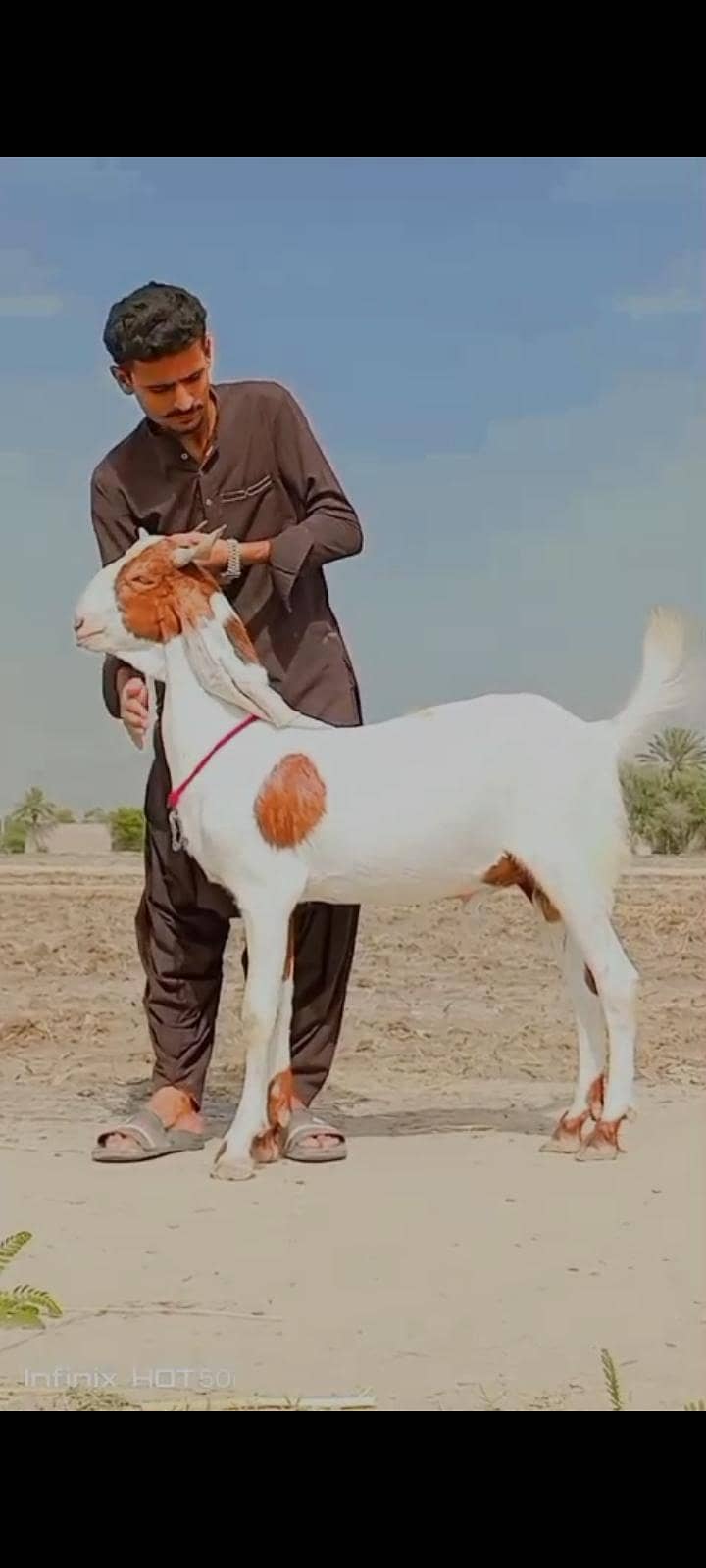bakra 2