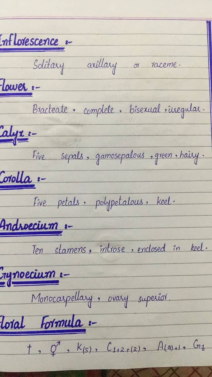 Assignment writers 2