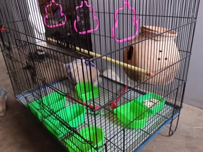 new parrot  cage