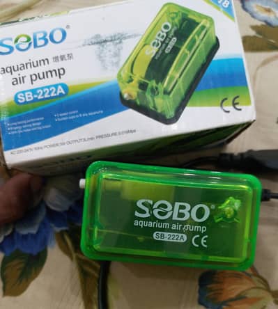 Fish and aquarium accessories