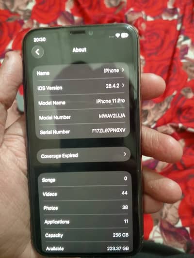 Contact on WhatsApp (03274956401)