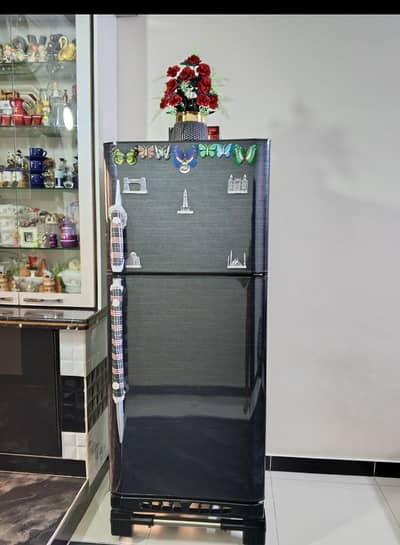 PEL's Medium Size Fridge Black Color
