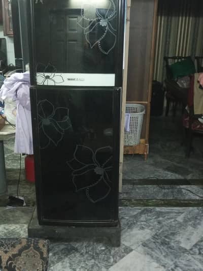I bought new fridge