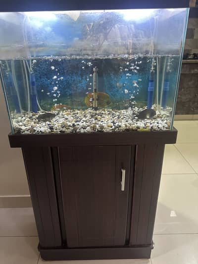 Fish aquarium with stand