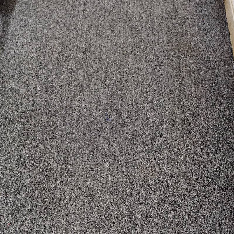 Carpet 2
