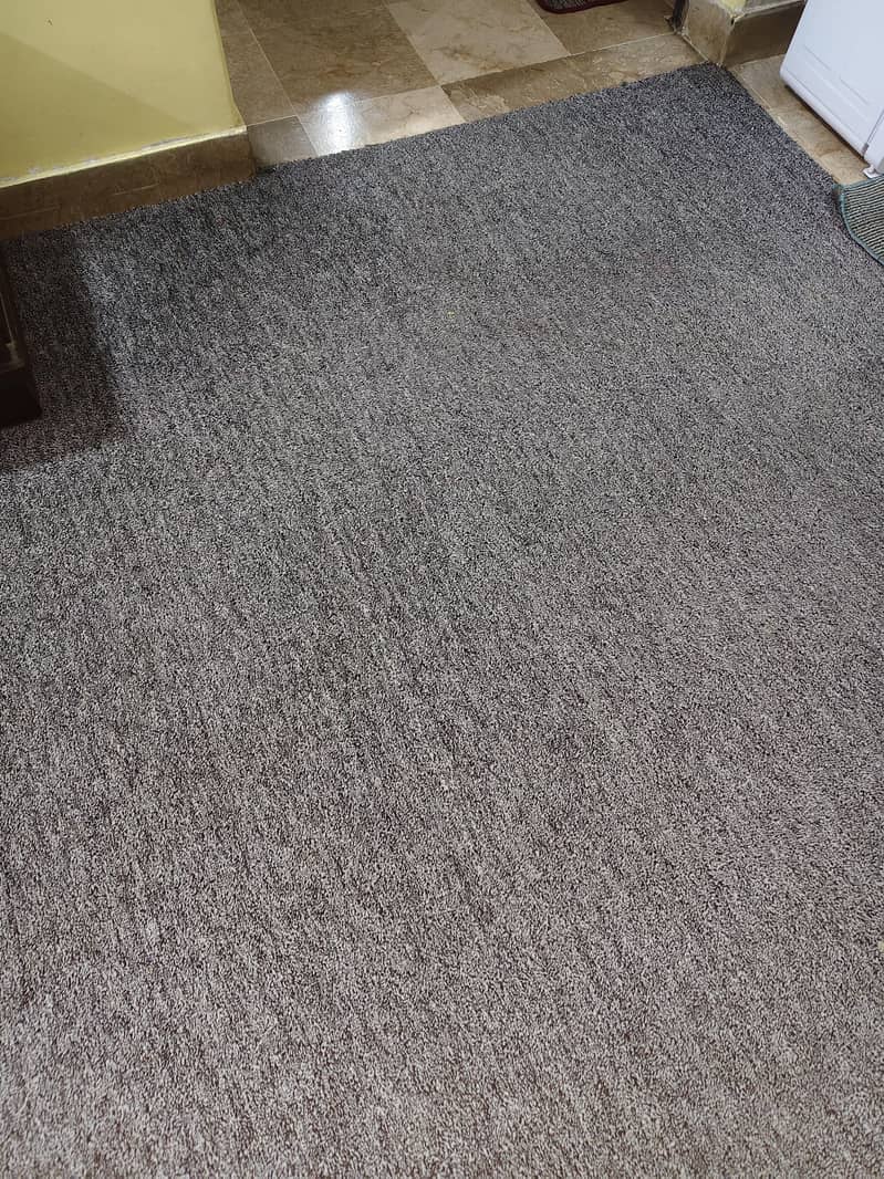 Carpet 3