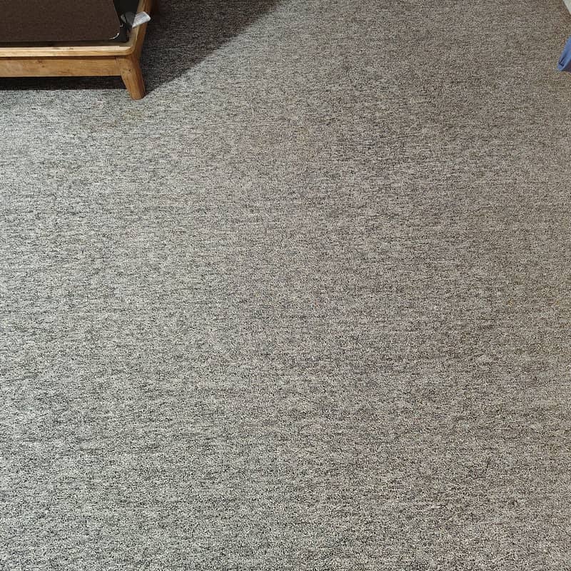Carpet 4