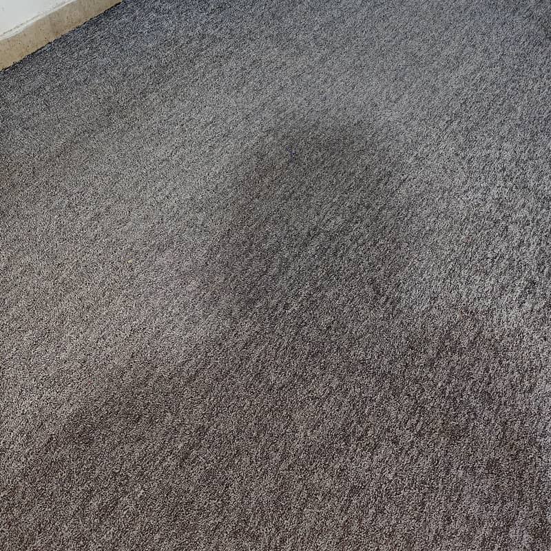 Carpet 5
