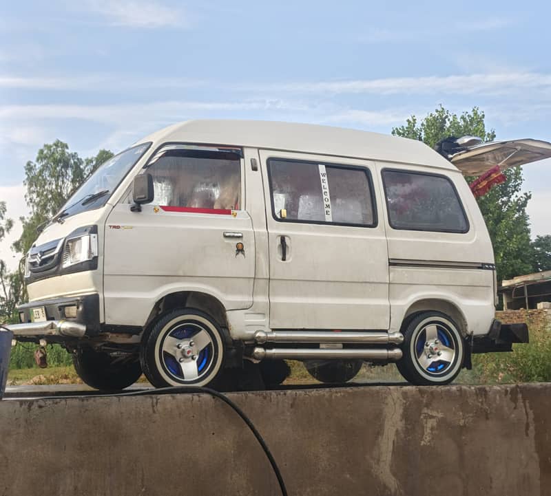 Carry Bolan 2015 1