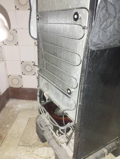 PEL refrigerator like new only 1 year used