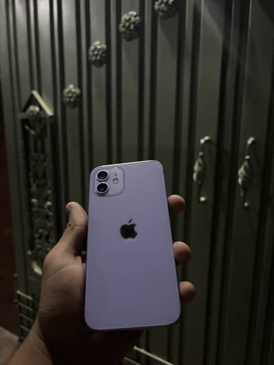 iPhone 12