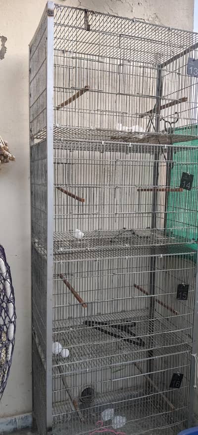 parrots cages for sale