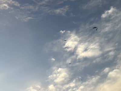 گھریلو کام کے فرائض کے لیے گھریلو ملازمہ کی ضرورت
