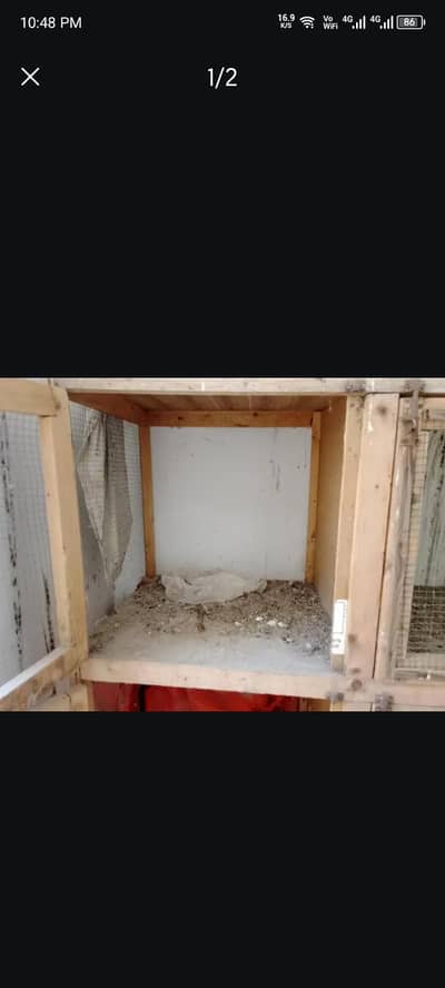 cage available