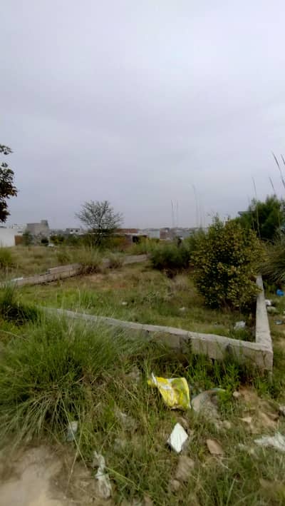 Plot for sale in zamar valley green block St # 3. A