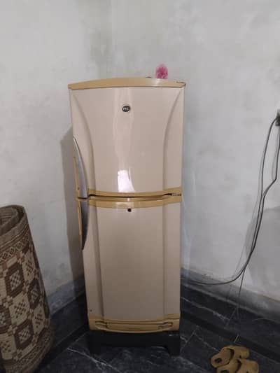 Pel Refrigerator 03000935984