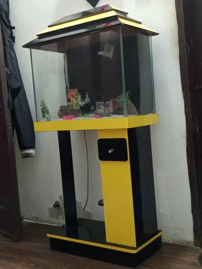 fish aquarium