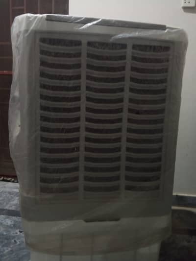 12 volt cooler