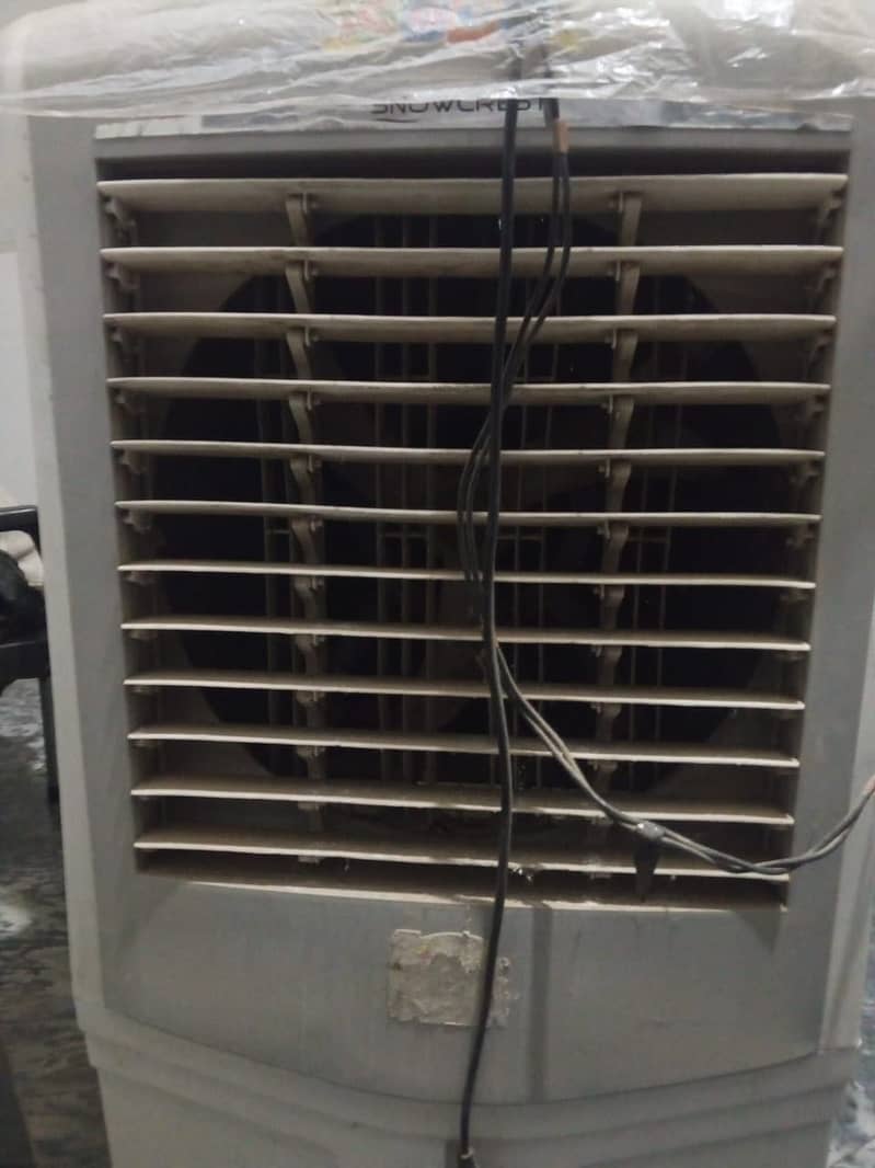 12 volt cooler 3