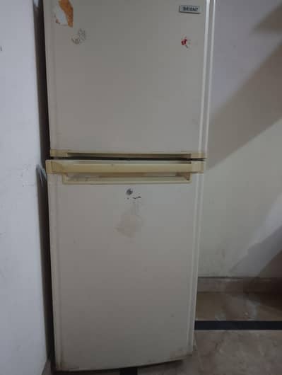 frige