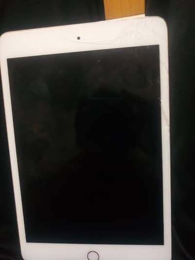 ipad mini 5
