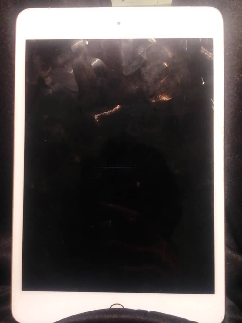 ipad mini 5 1