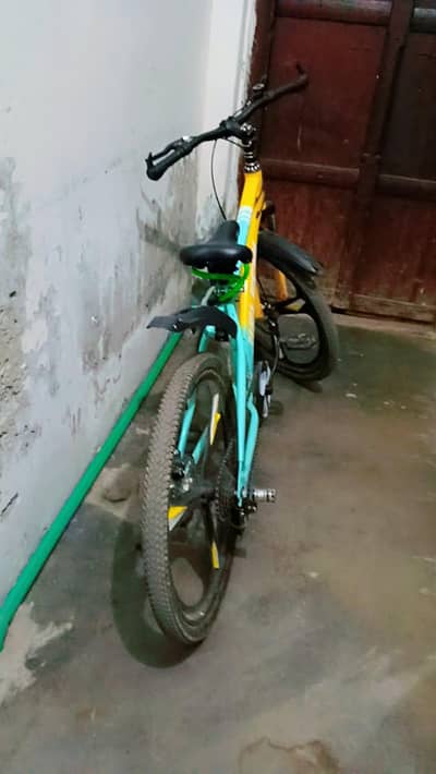 Gyree cycle