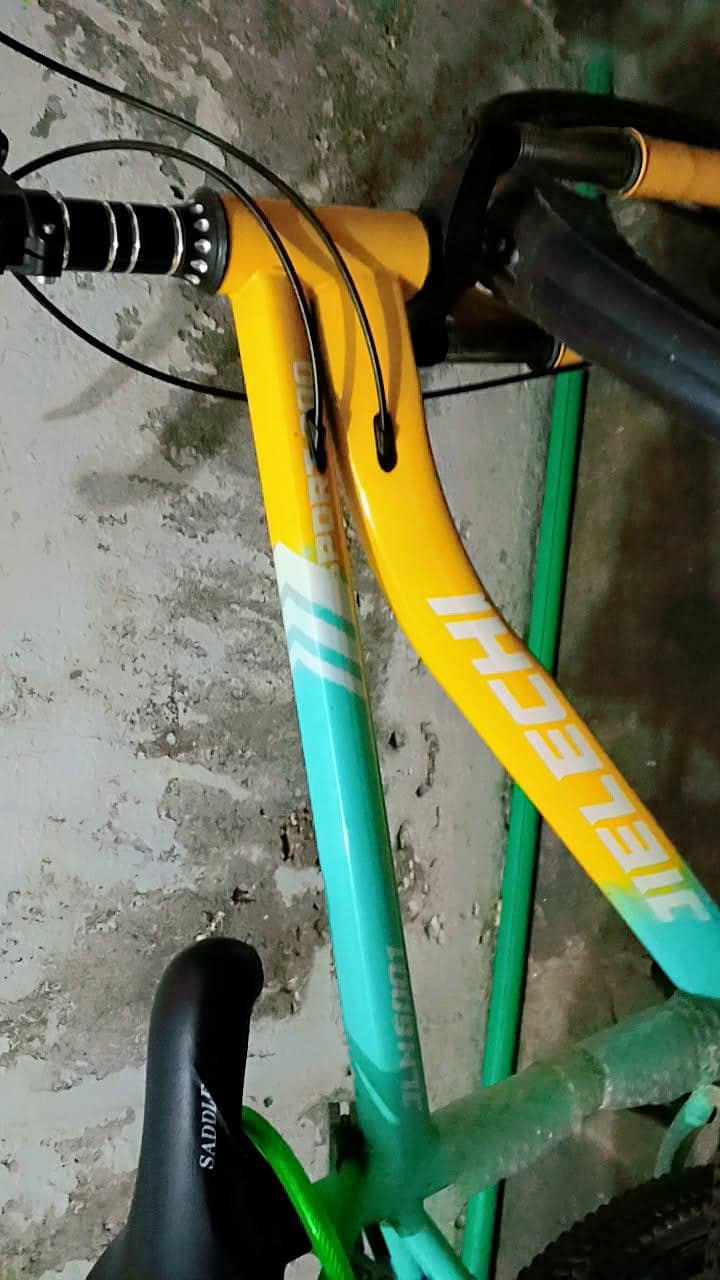 Gyree cycle 2