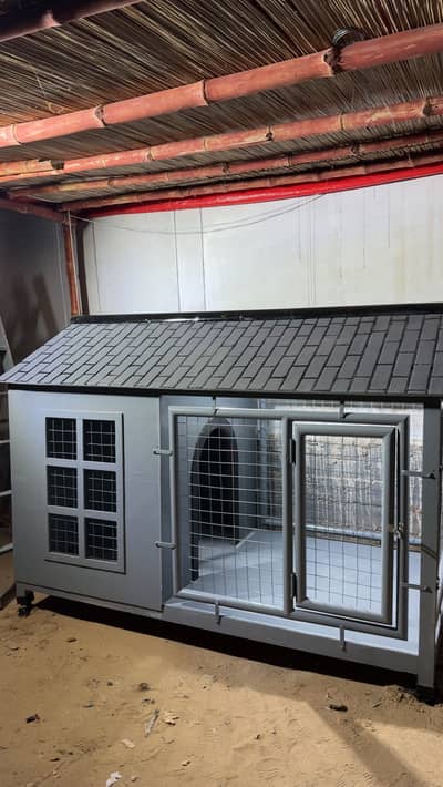 Dog House