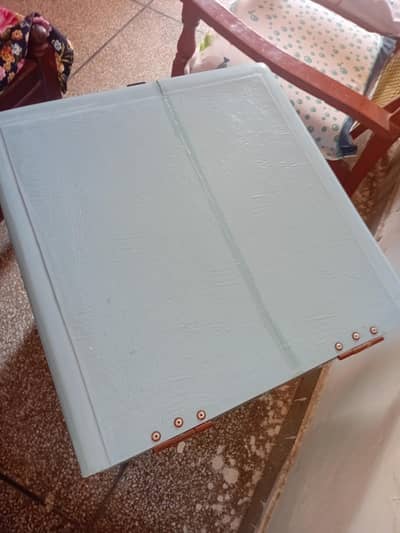pizza and Lab fiber glass box
