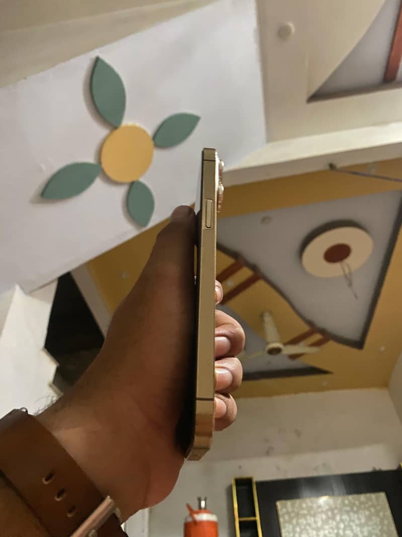 Iphone 13 pro max 1