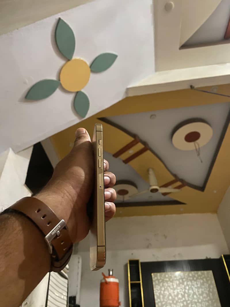 Iphone 13 pro max 3