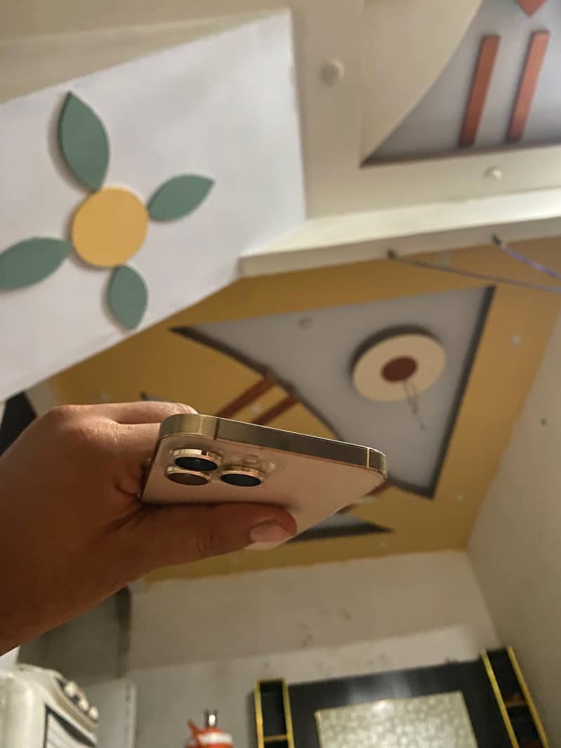 Iphone 13 pro max 5