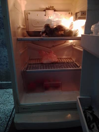 dawlance fridge 9122
