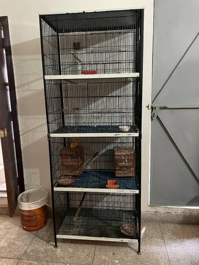cage for birds